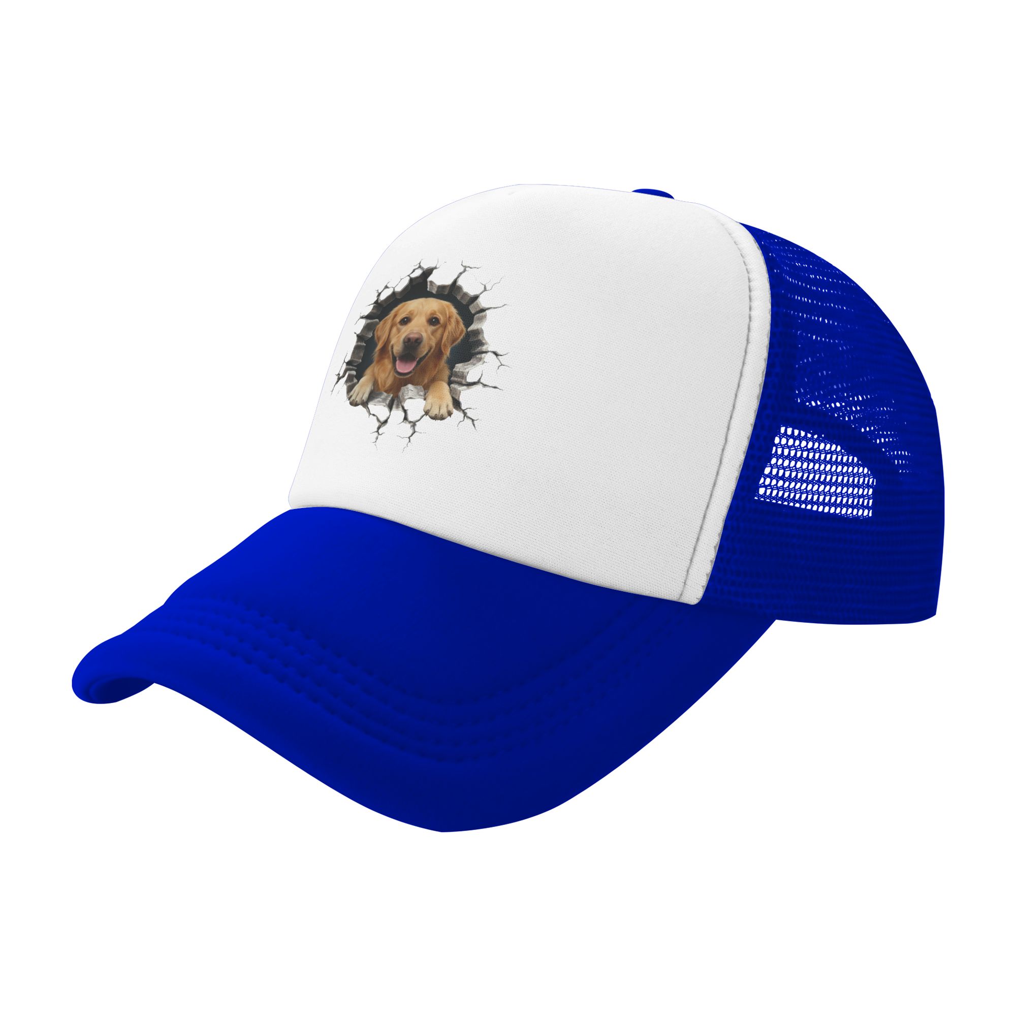 Gorra de béisbol Golden Retrie - Hat Snapback Cap reseña y precio